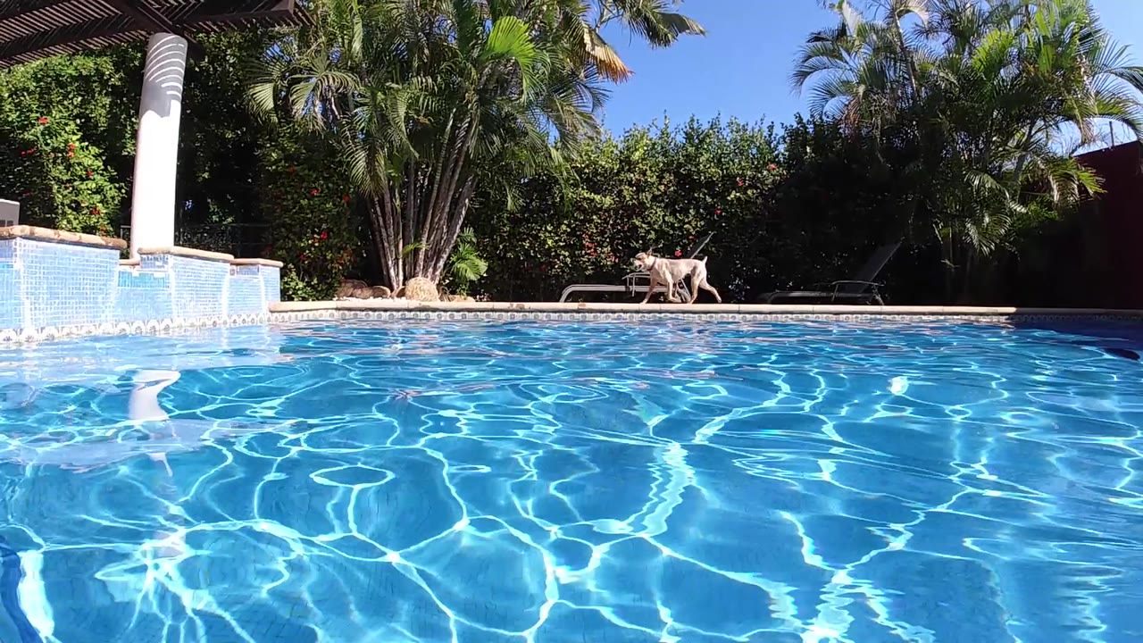Blue pool water with bright caustic light patterns; white pergola column, lounge chair, palm trees, and clear sky in background.