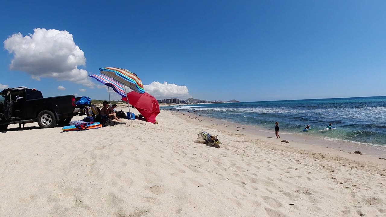 The dog remains on the open sand below the colorful umbrellas, with the black pickup at left and people visible along the Cabo shoreline.