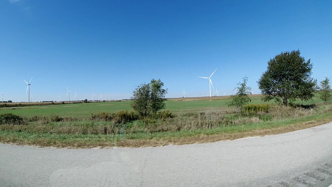 Green field and wind turbines seen past roadside grass