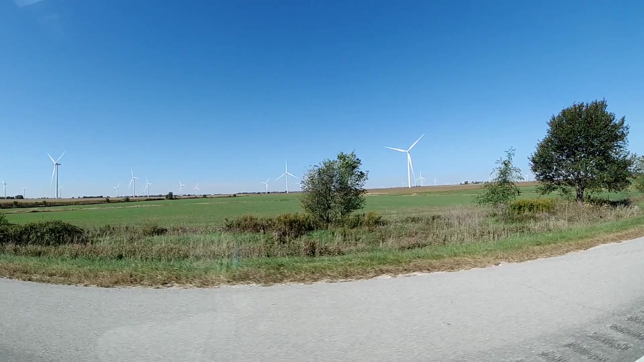 A rural verge, green field, and distant wind farm fill the view as a leafy tree enters from the right edge, no visible people.