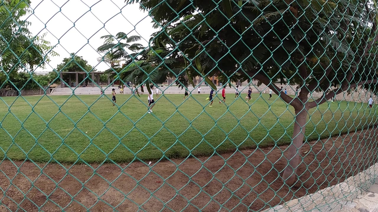 Opening view of a Chicago grass soccer field through a chain-link fence, with a tree trunk near center and distant players spread across the pitch.