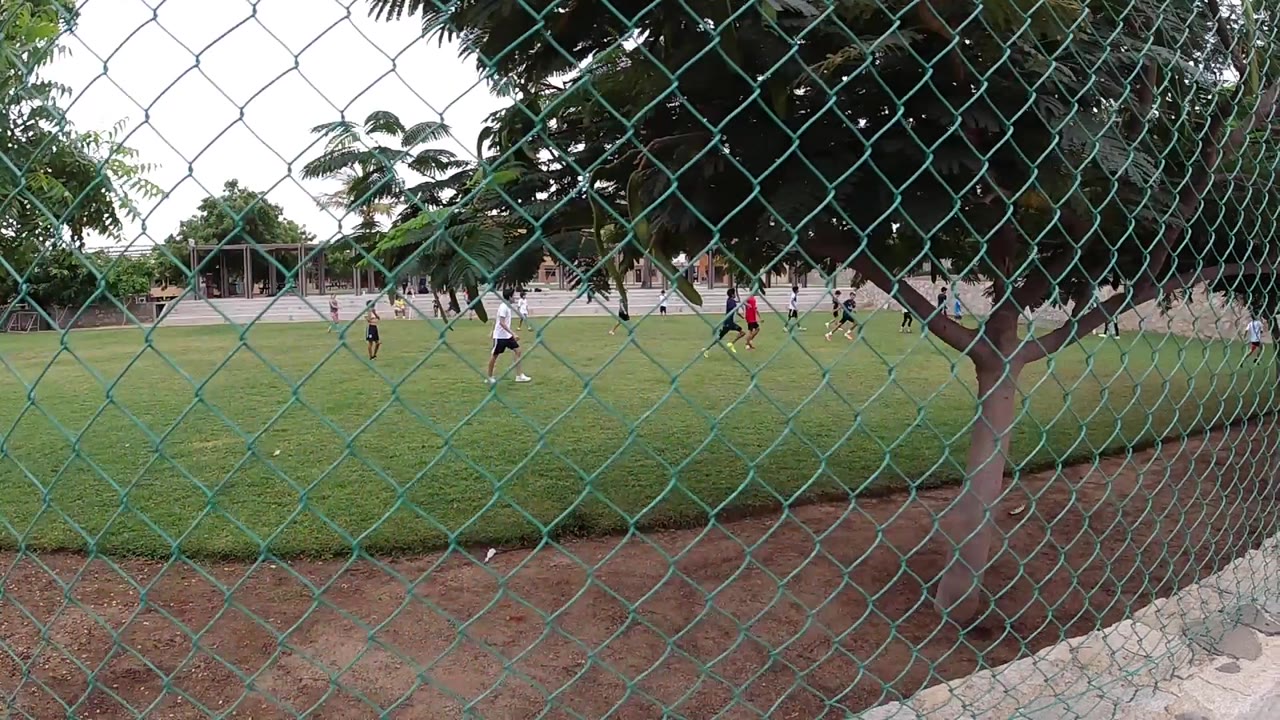 A wide fenced view of the Chicago soccer field shows players spaced across the grass, a tree trunk near the right side, and low buildings beyond the field.