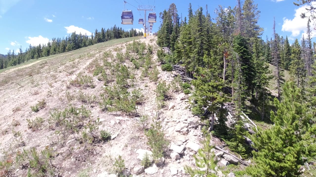 Aerial view continuing forward along a ski trail in summer, dry sandy slope, pine trees on both sides, sky at top.