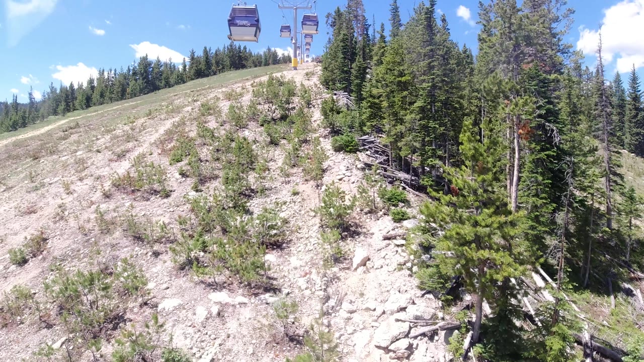 Aerial drone perspective along a Colorado ski run in summer, pine forest visible on both sides of the trail corridor, dry rocky terrain below, blue sky above, no visible people.