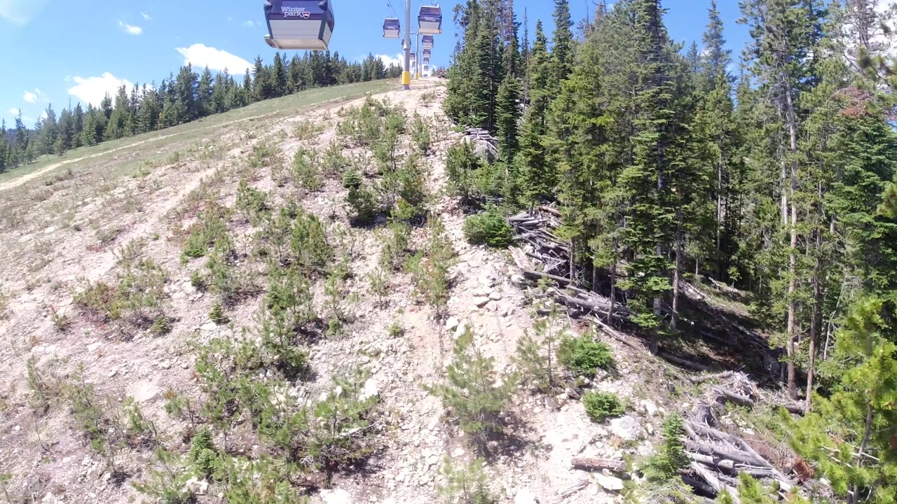 Aerial view along ski slope, pine trees on left, dry sandy terrain, small distant structure visible at upper frame.