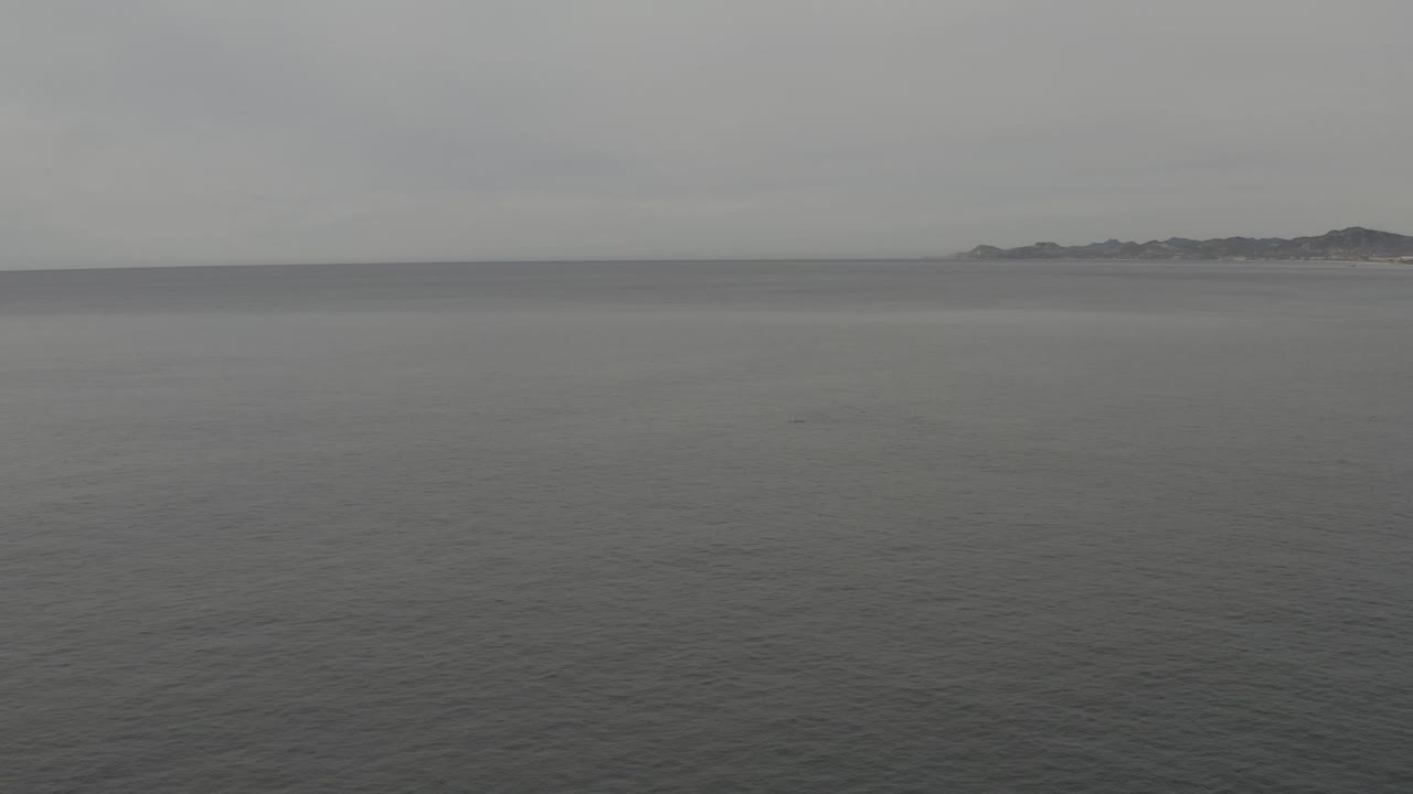 Muted grey ocean surface stretches toward a far low coastline beneath an even overcast sky, with no visible people.