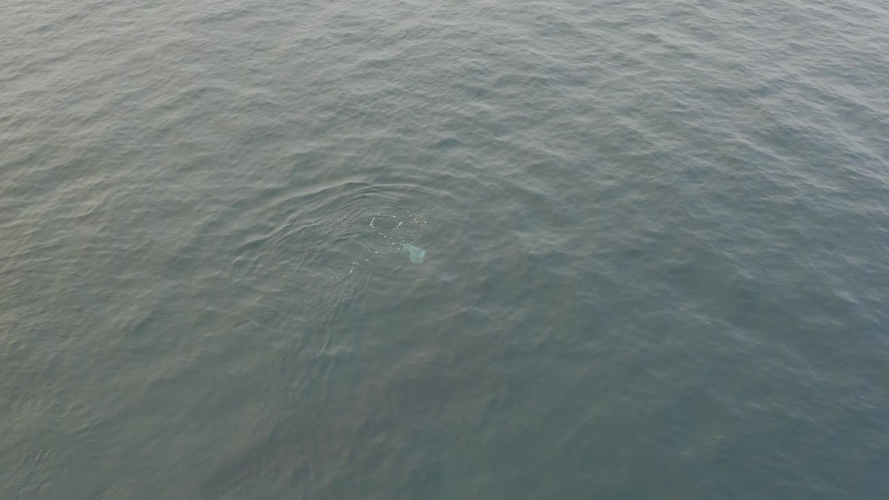 High-angle frame of rippled green-blue ocean water with a faint pale underwater shape near the left side and no visible people.