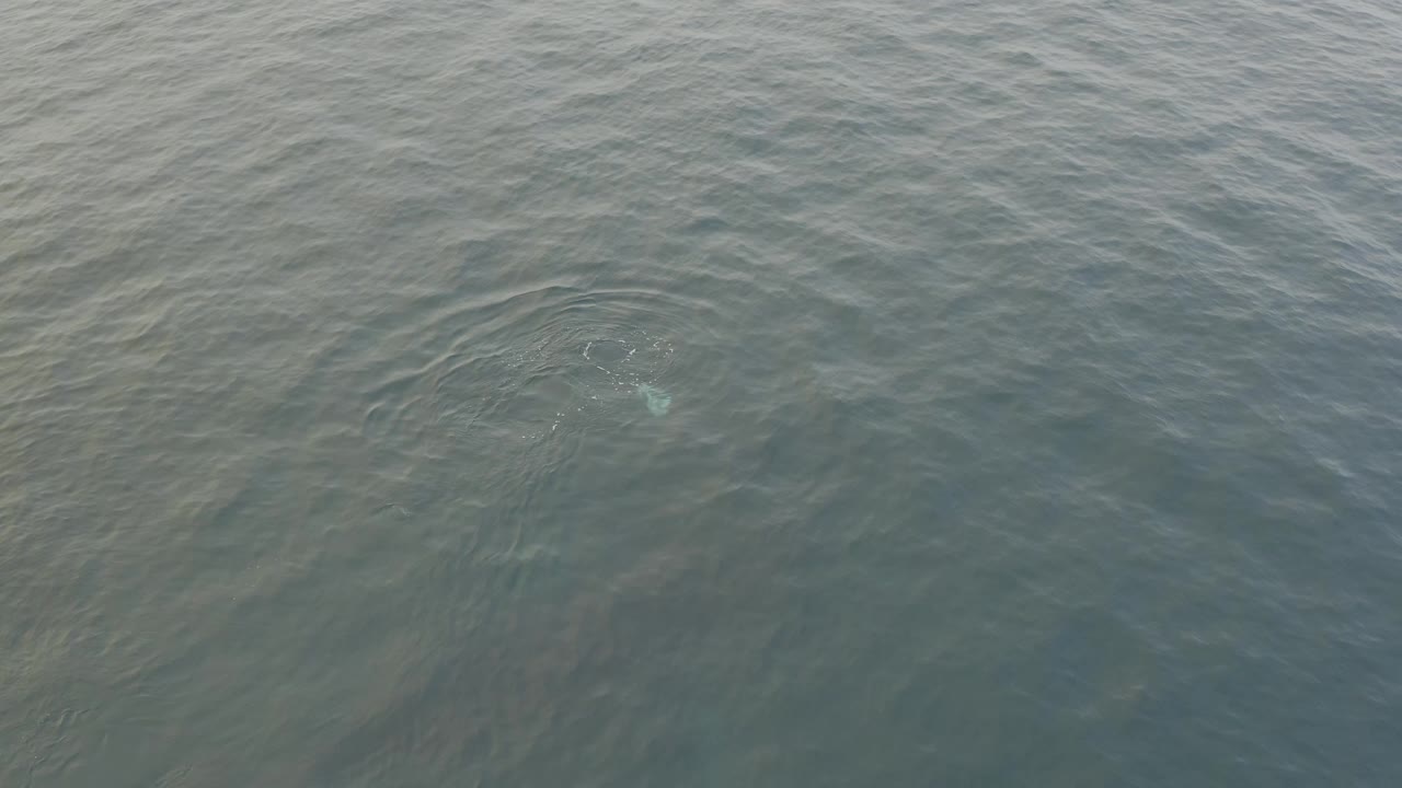 Aerial view of textured ocean water with a subtle light patch below the surface near the upper middle and no visible people.