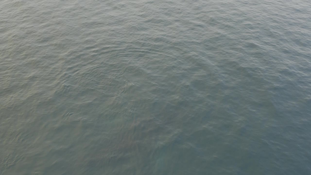 Angled aerial view of grey-blue open water at the start of the clip, with fine ripples across the surface and no visible people.
