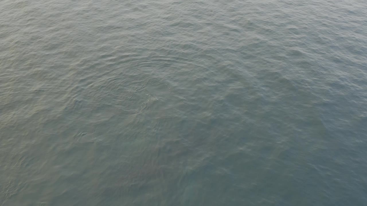 Open water with low-contrast ripple texture.