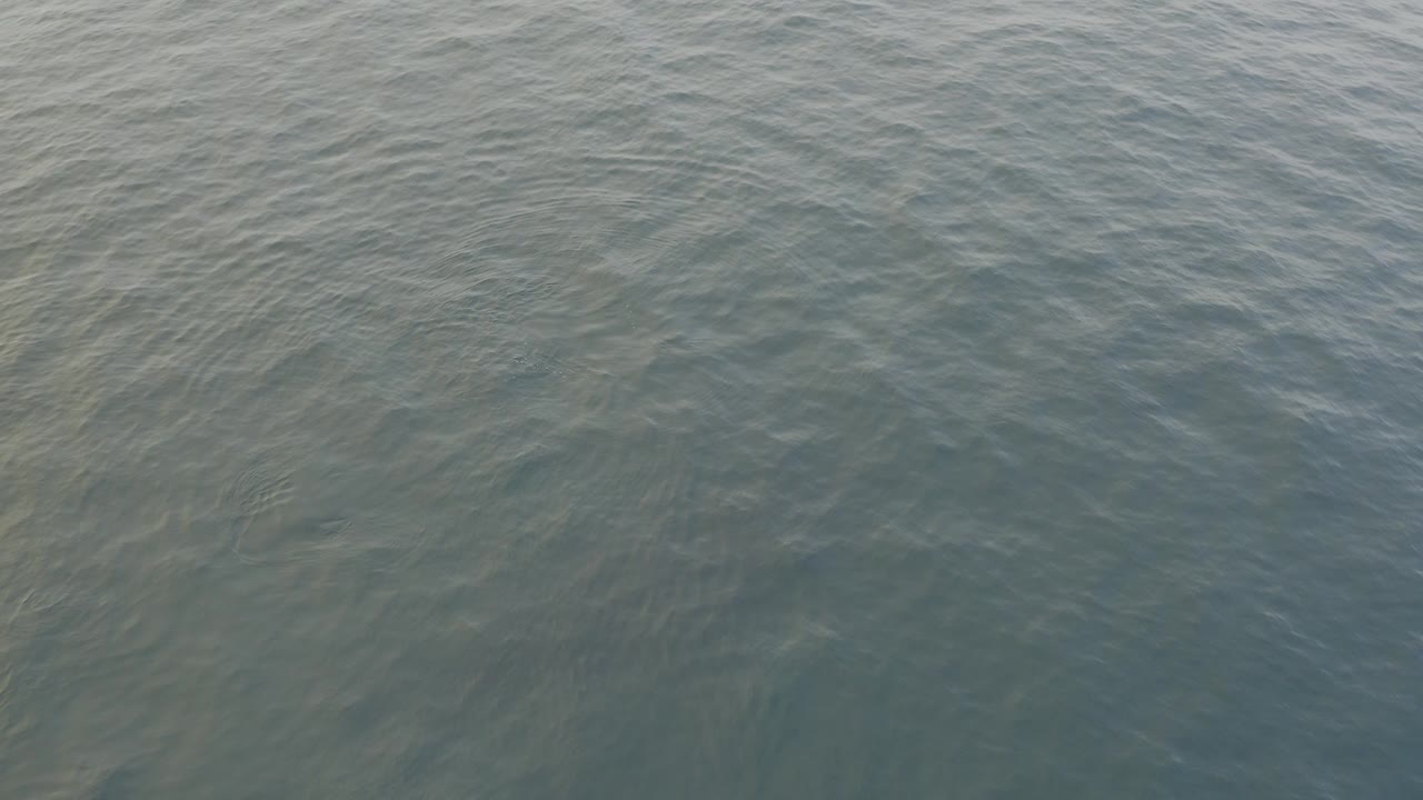Grey-blue ocean surface with small ripples seen from above.
