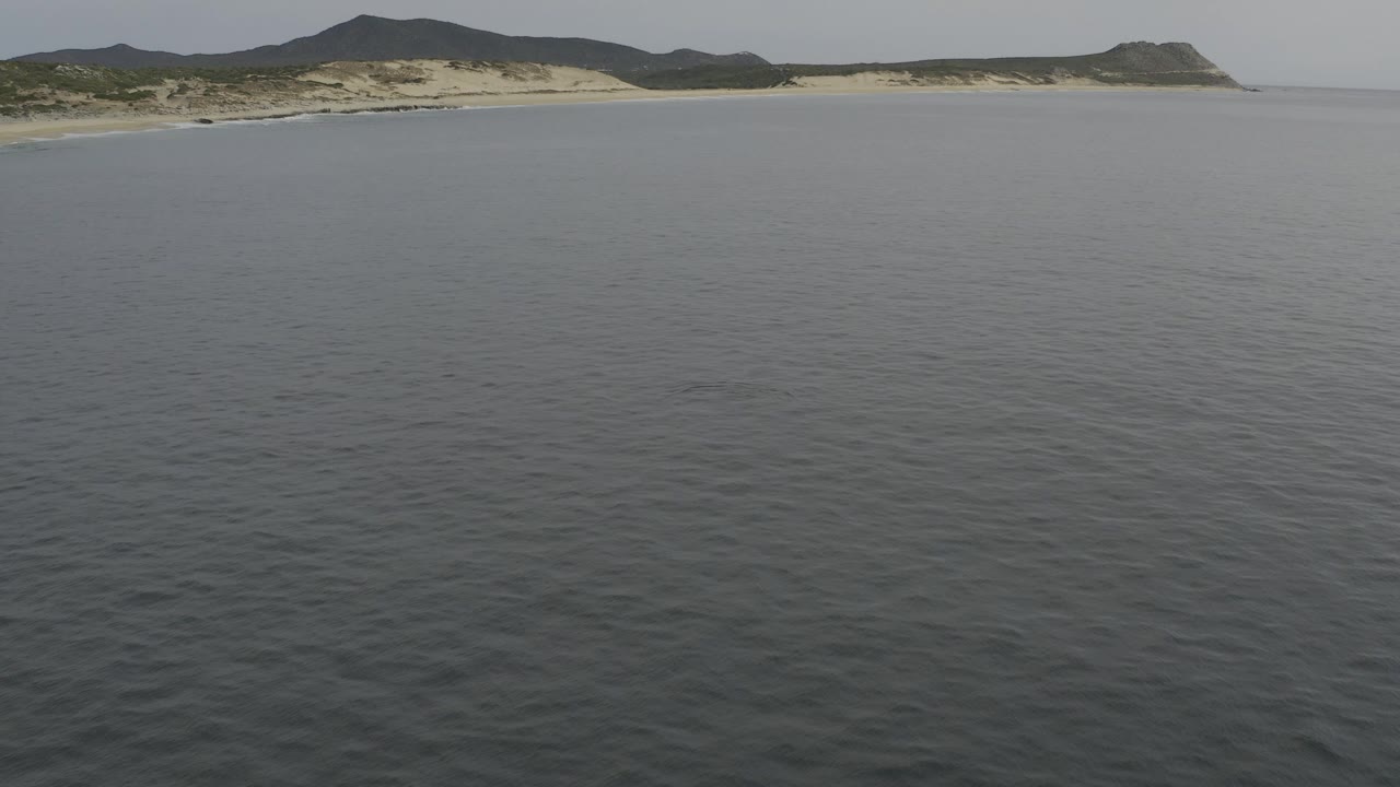 Calm grey-blue ocean with a distant sandy coast and low hills.