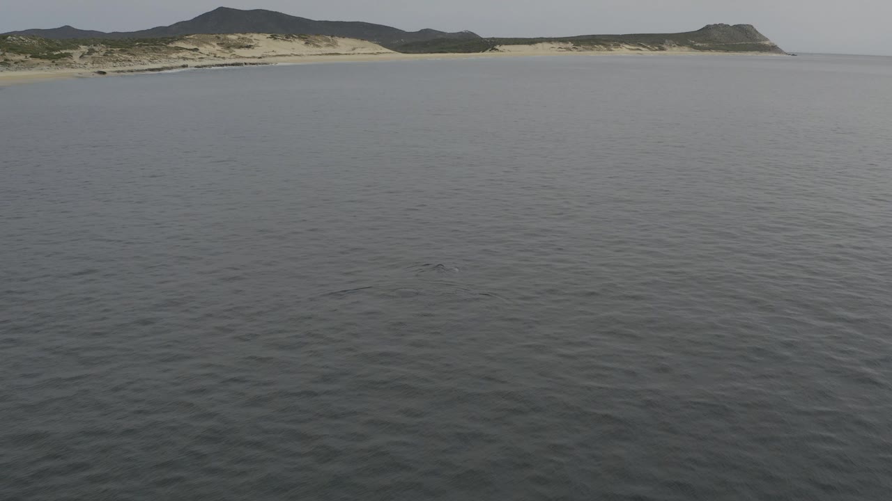 Wide aerial view of calm sea facing a sandy coast and low hills.