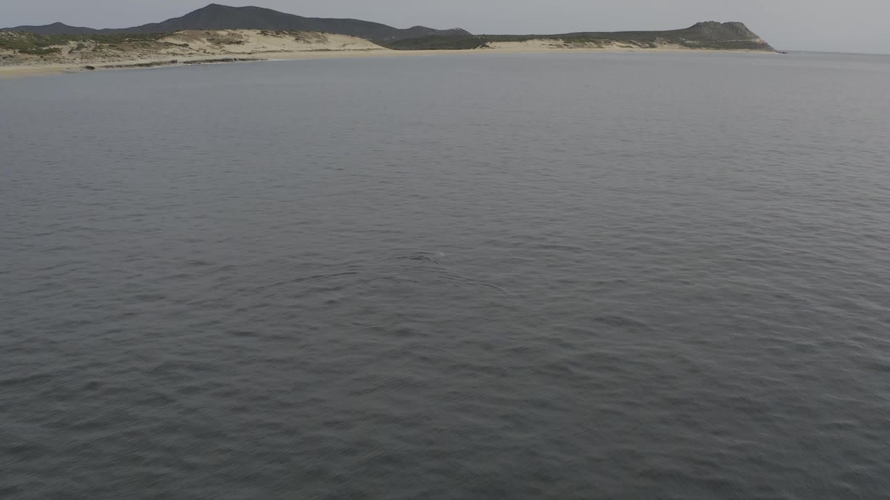 Aerial composition showing open rippled water in front, a pale sandy coast near the horizon, dark hill shapes behind it, and no visible people.