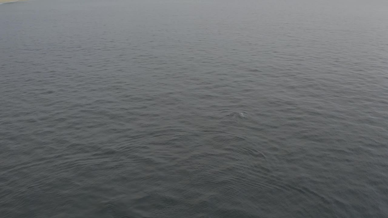 Grey sea surface with darker rippled water