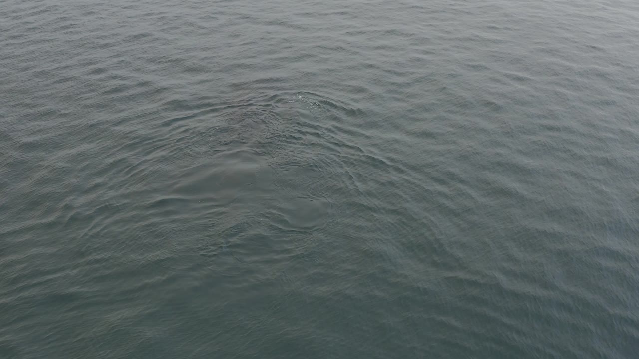 Grey-blue ocean surface with fine ripples