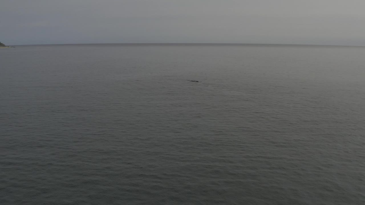 At the start of the clip, grey open ocean fills the frame with a small dark whale-like shape near the surface and no visible people.