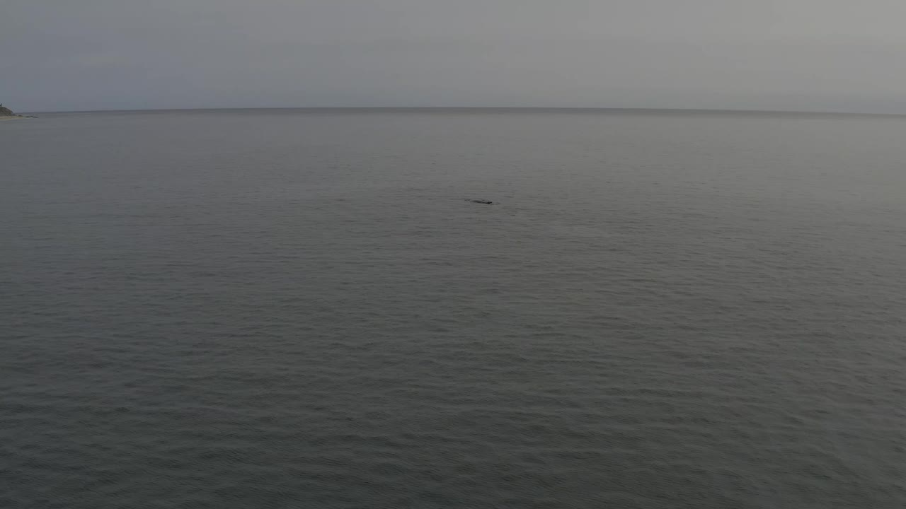 Open grey sea with distant coastline and a dark marine shape