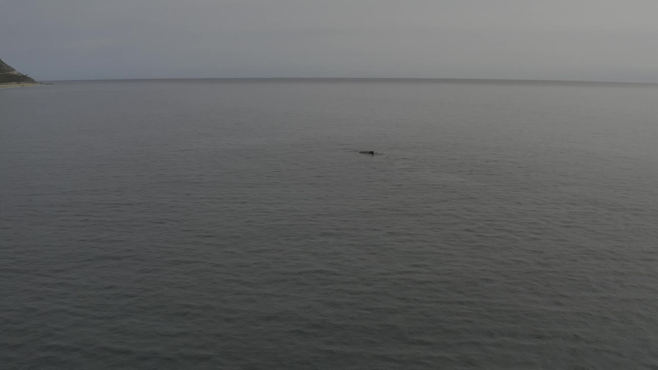 At two seconds, calm grey water stretches to the horizon while a faint dark whale-like form sits near the center-right surface, with no visible people.