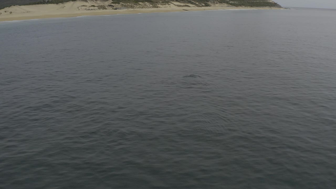 Aerial view of rippled ocean water with sandy shoreline at the top edge.