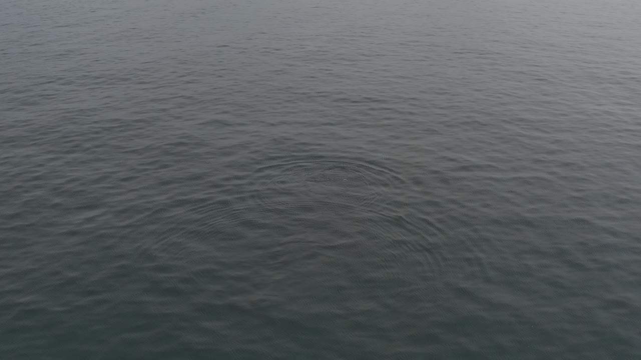 Grey-green ocean surface with small ripples