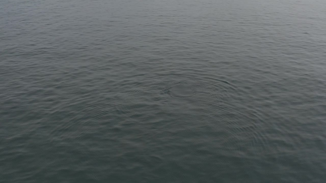 Grey ocean surface with soft ripples seen from above