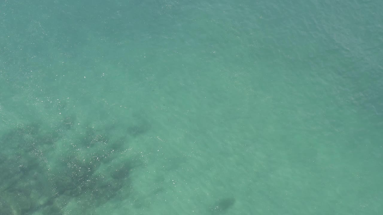 Turquoise shallow ocean water with dark seabed patches beneath the surface.