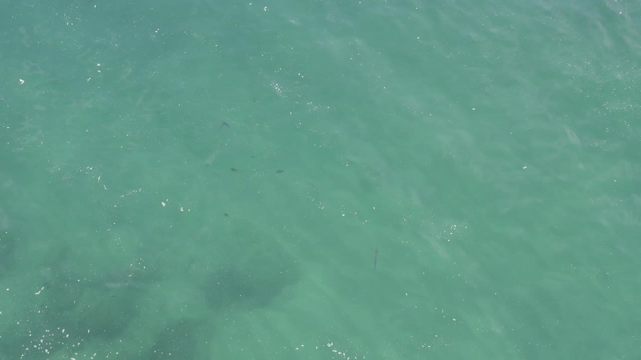 Top-down turquoise ocean water with gentle ripples