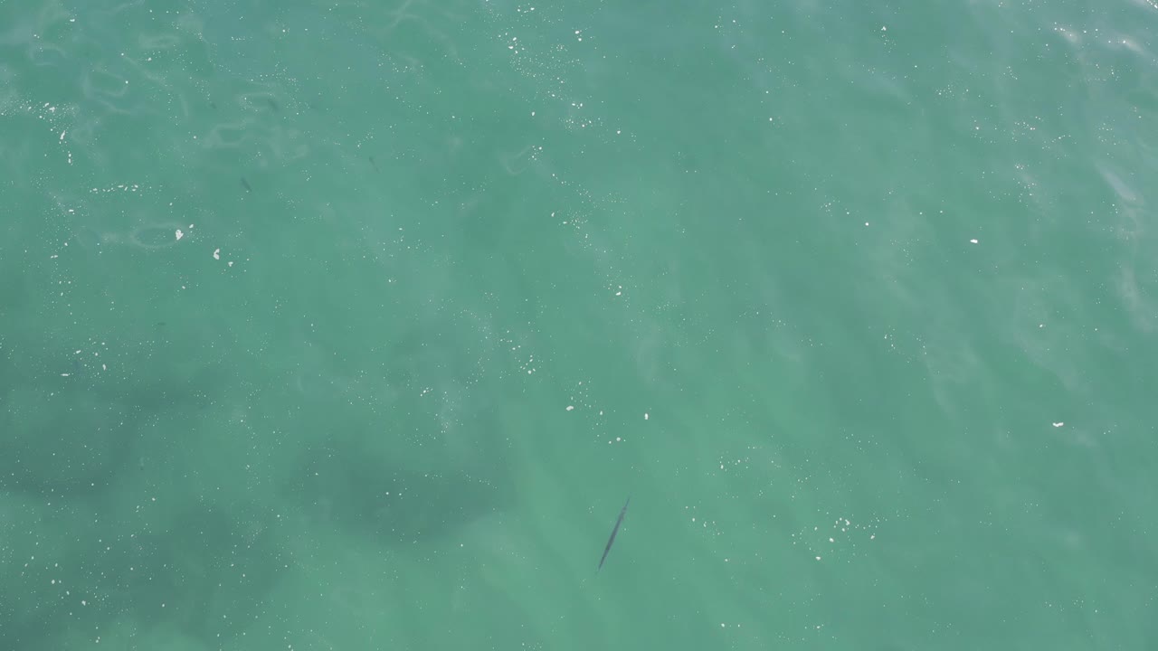 Overhead turquoise water with faint ripples and darker submerged patches.