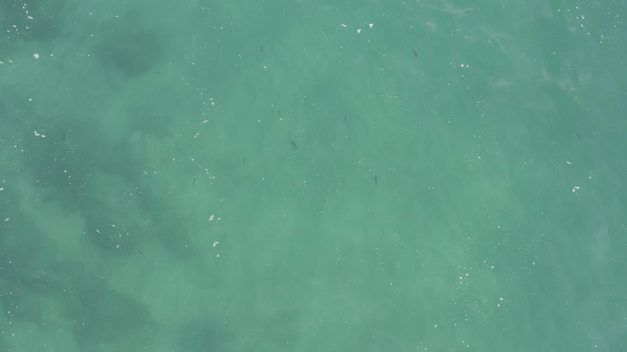 Top-down turquoise sea surface with faint foam flecks