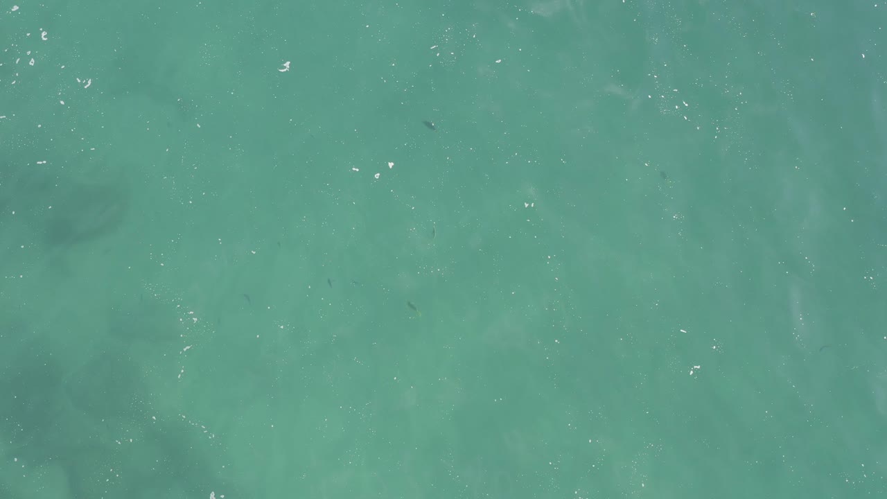 Top-down turquoise ocean surface with faint foam flecks