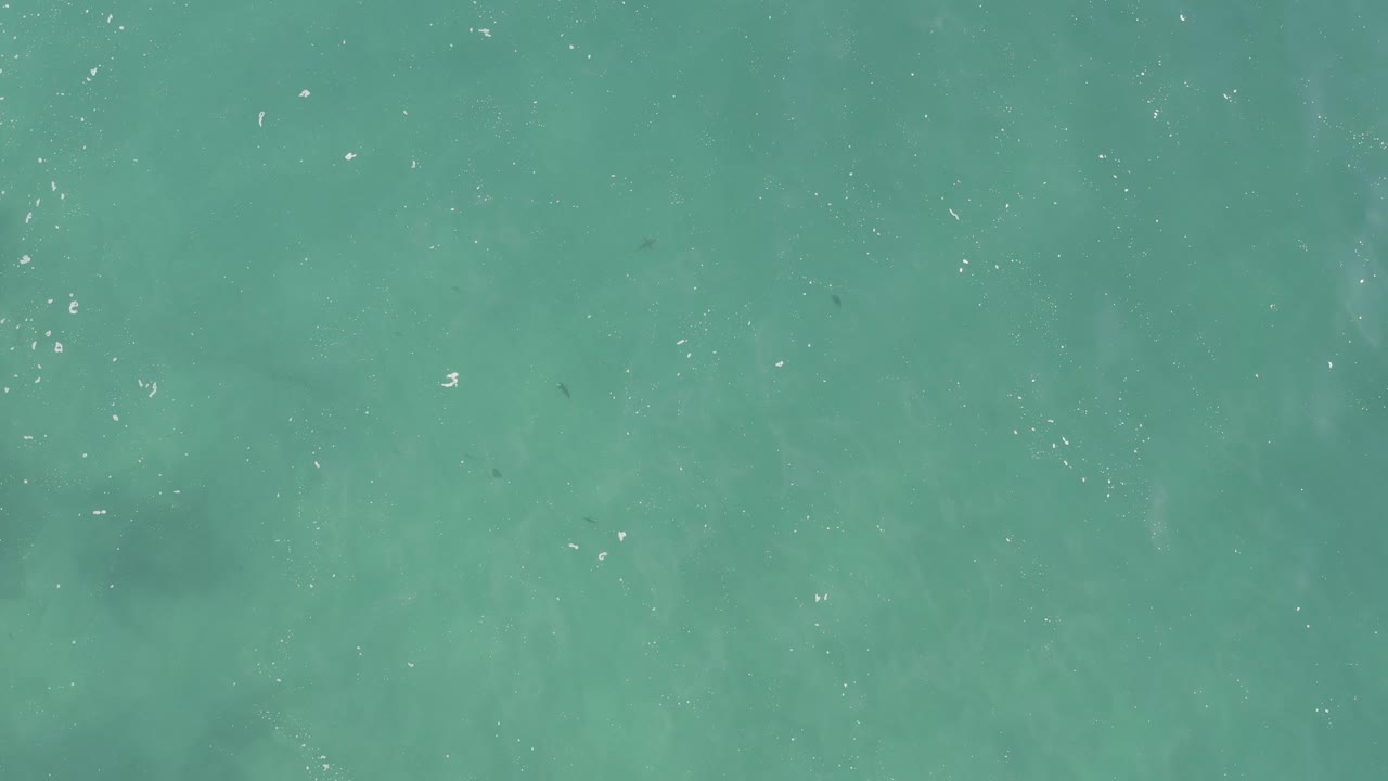 Top-down turquoise water with scattered sun glitter