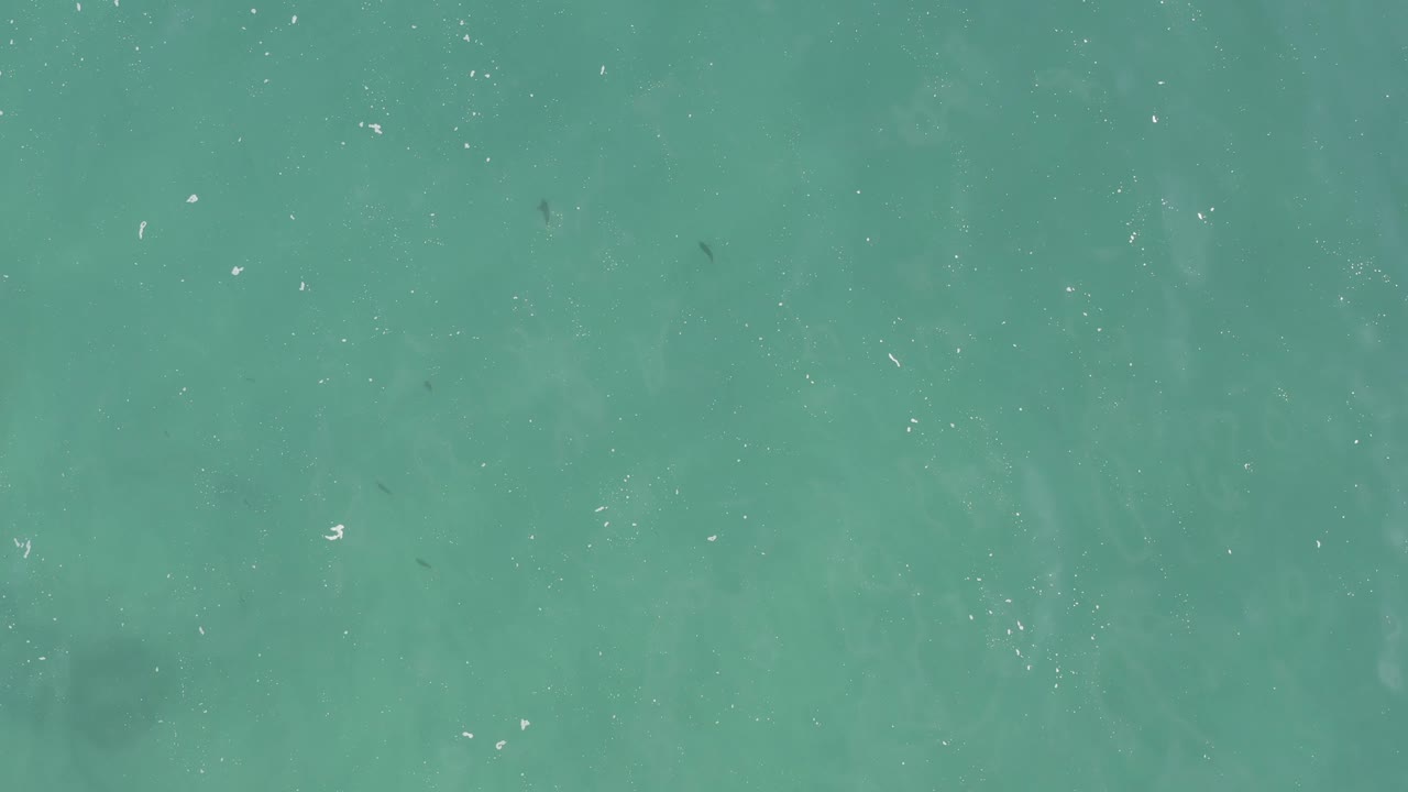 Mid-clip overhead frame with turquoise water filling the shot, faint darker fish shapes below, and tiny white particles on the surface, with no visible people.