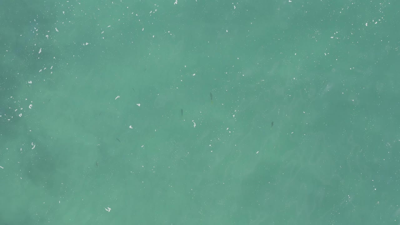 Top-down turquoise sea surface with scattered white foam.