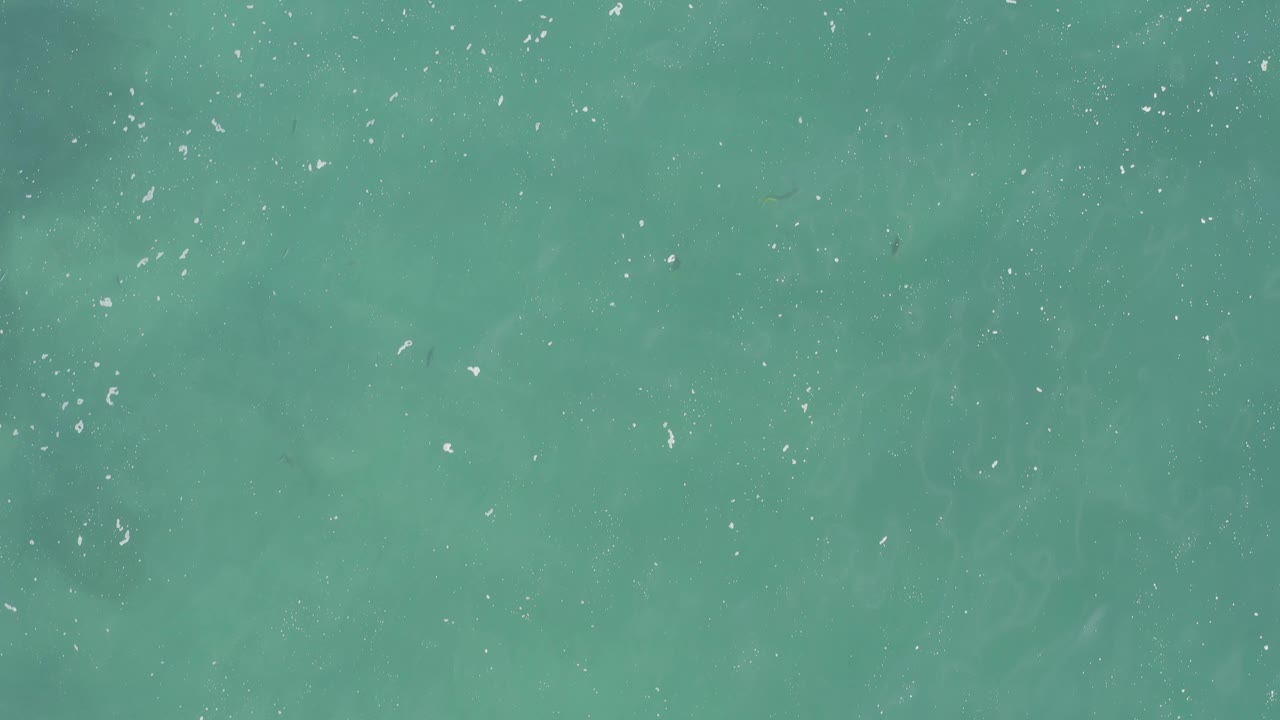 The aerial frame holds on turquoise water with fine white flecks across the surface and diffuse darker patches that suggest fish below, with no visible people.