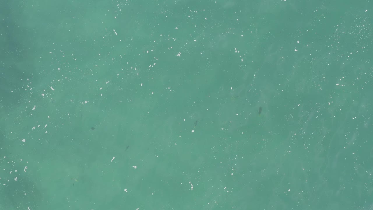 Overhead sea surface with scattered foam specks and faint fish movement below.