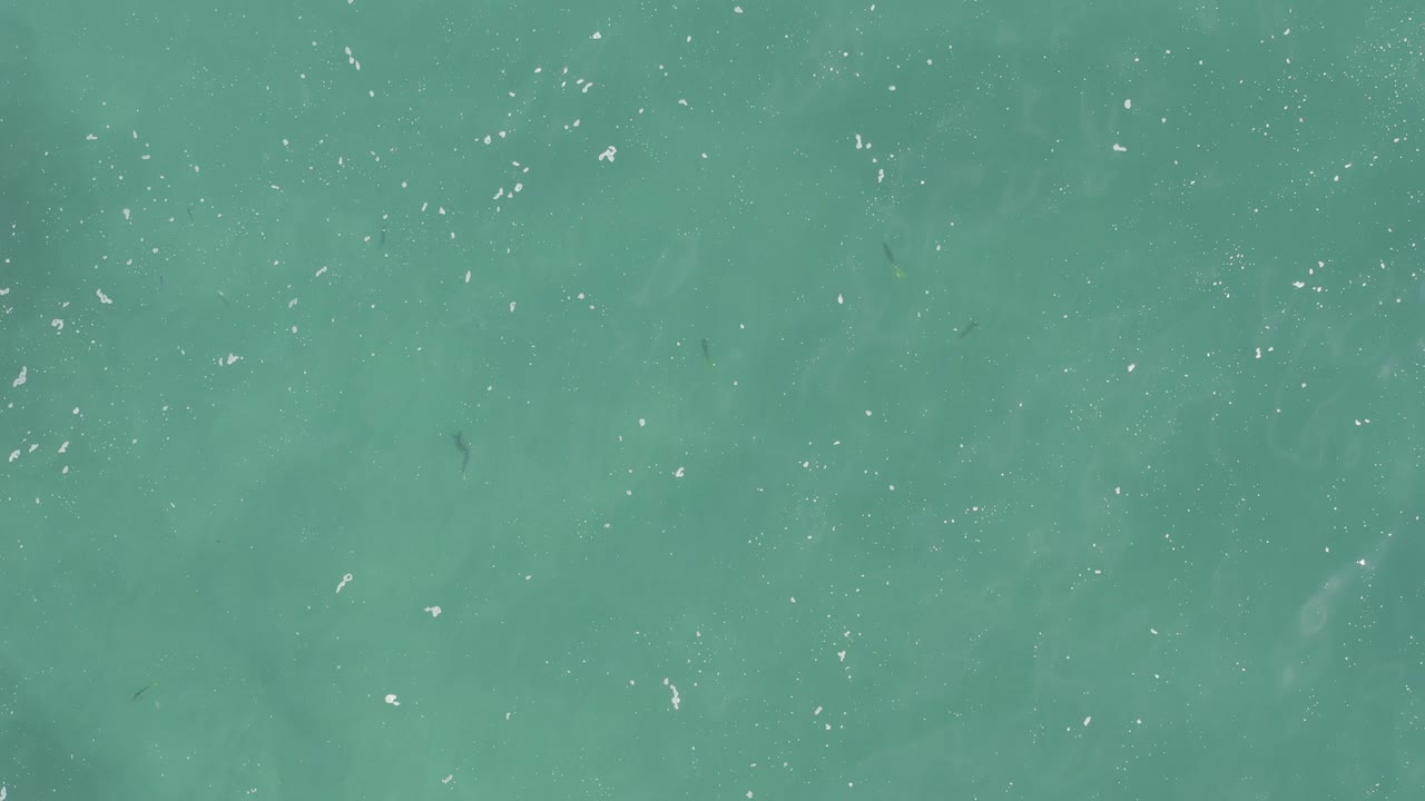 Top-down turquoise ocean water with scattered white foam specks.