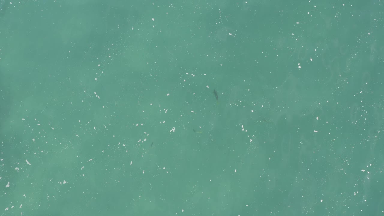 Turquoise water texture continues with tiny dark fish shapes, rippled highlights, and faint cloudy patches below the surface, no visible people.
