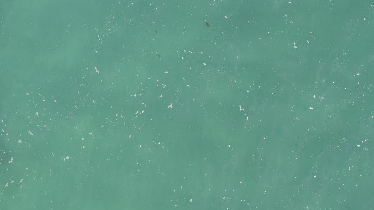 Overhead teal water fills the frame, with small dark fish marks and scattered bright specks spread across the rippled surface, with no visible people.