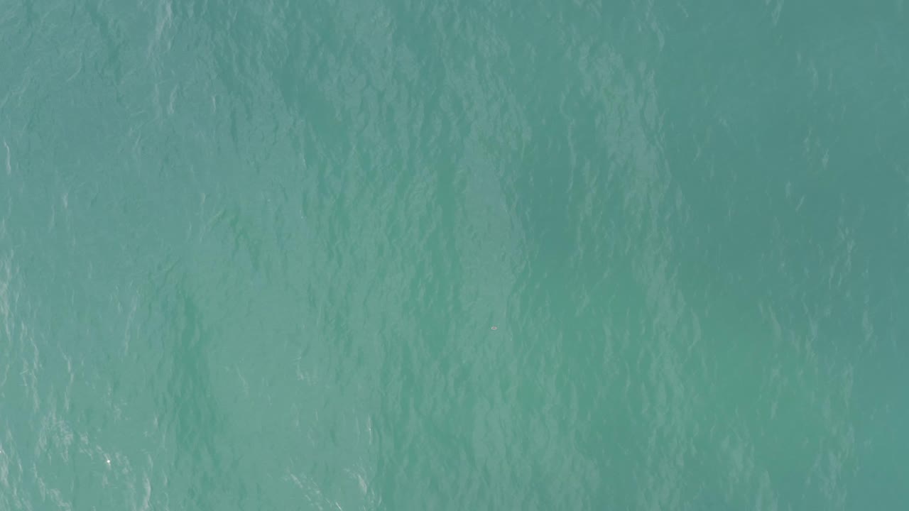 Top-down turquoise ocean surface with faint ripples.