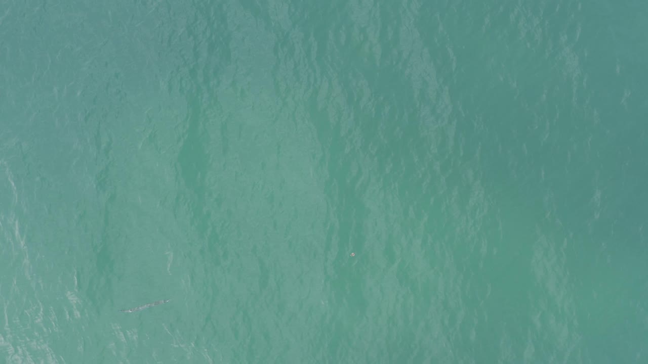 Top-down turquoise ocean water with soft ripples.