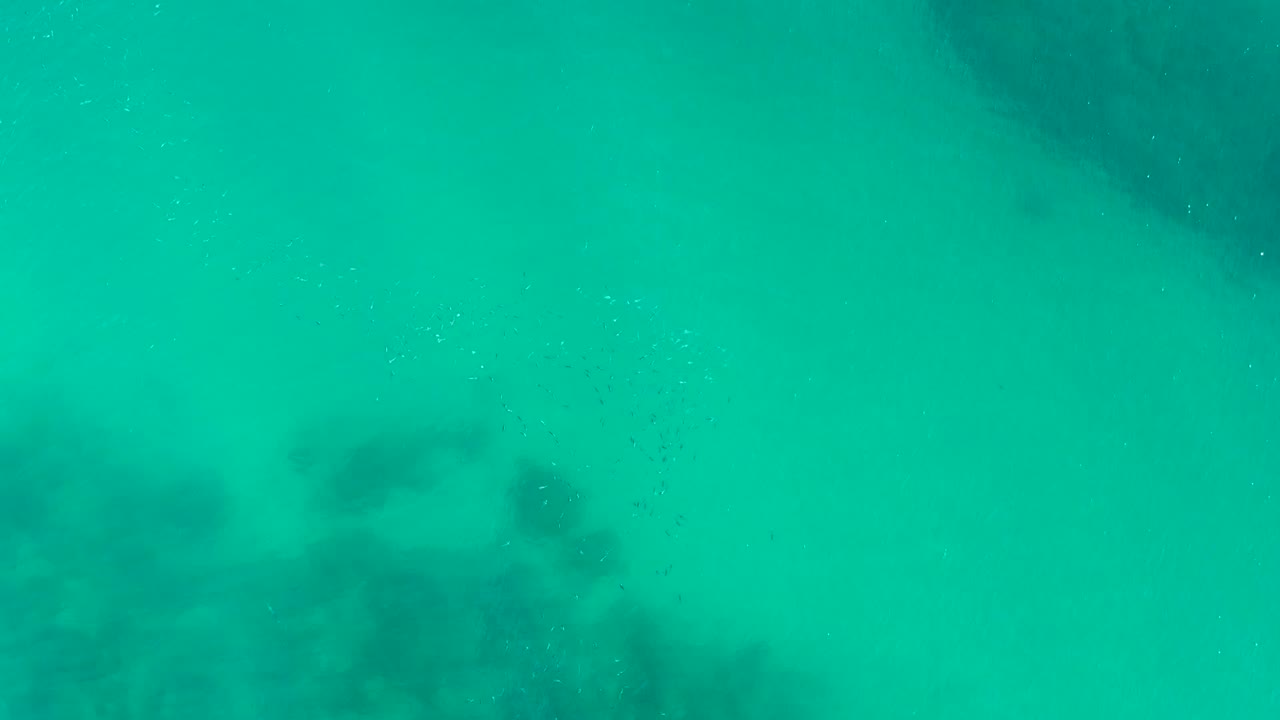 Overhead view of clear turquoise water at Playa Acapulquito, Los Cabos, with dark underwater patches and tiny fish speckles near the surface, no visible people.