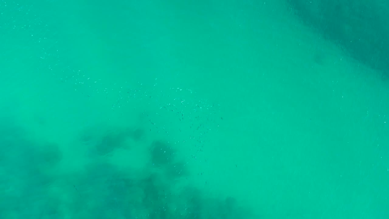 Clear turquoise water with clustered dark seabed shapes below the surface.