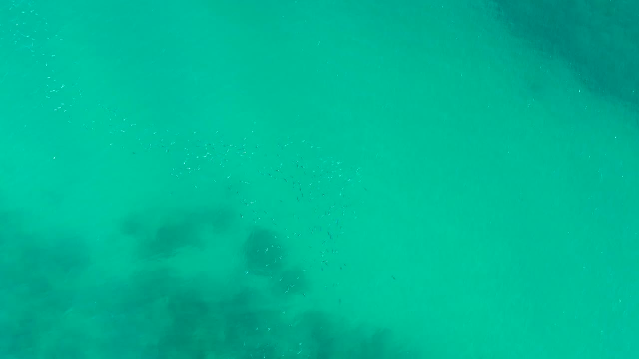 Top-down view of blue-green water at Playa Acapulquito with soft dark underwater forms and scattered small fish marks, no visible people.
