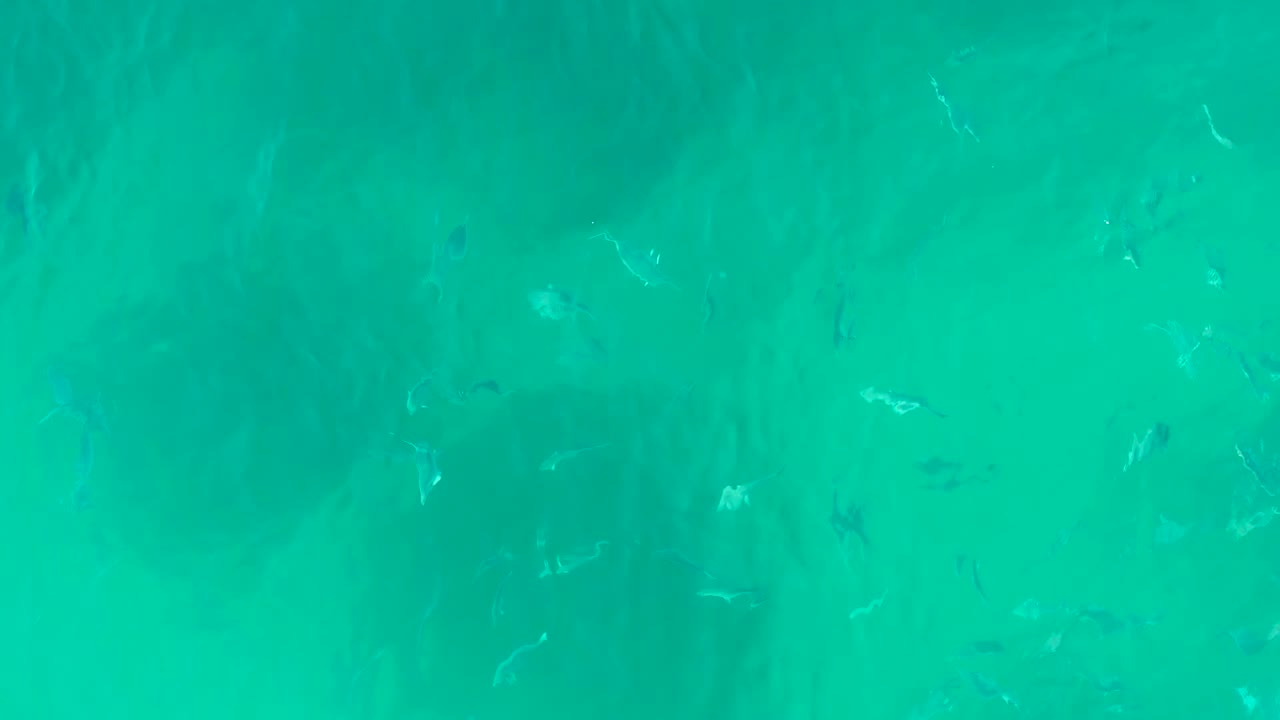 At 0:02, the top-down frame holds on turquoise water at Playa Acapulquito, where faint fish shapes pass over darker submerged patches and no people are visible.