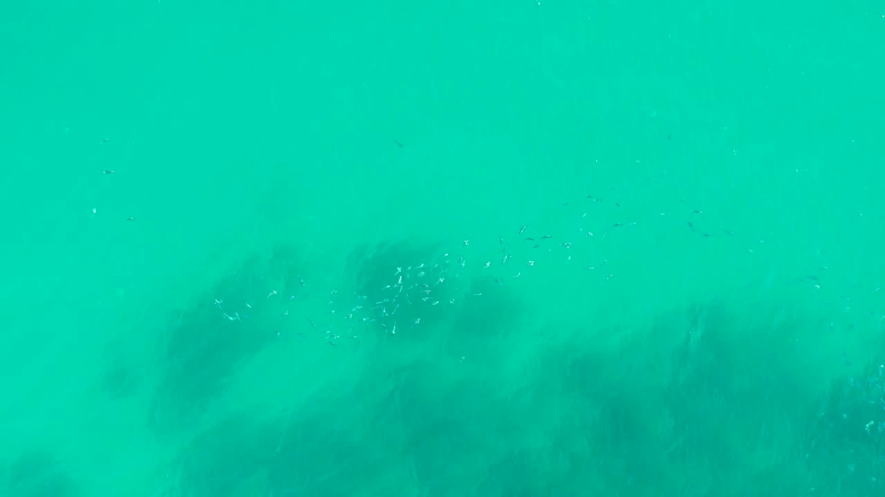 Opening underwater frame at Playa Acapulquito, Los Cabos, showing small fish in turquoise water above darker rock or coral forms with no visible people.