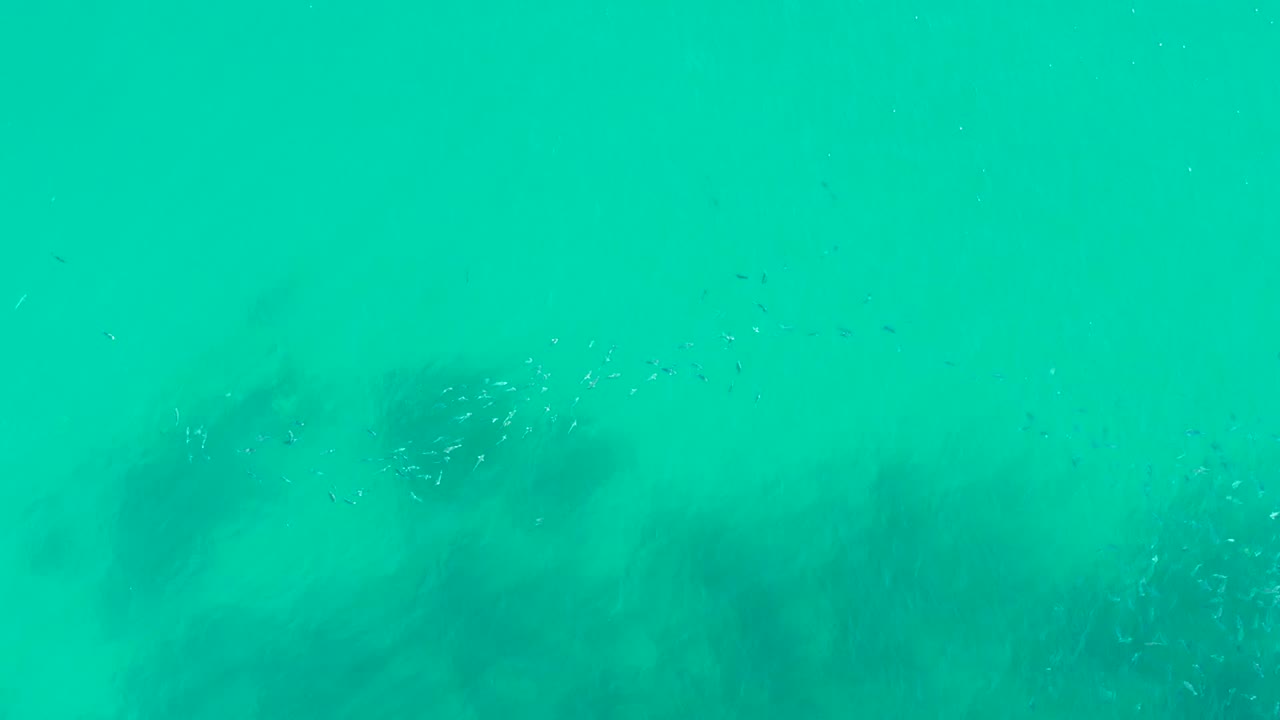 At 0:02, faint small fish and bubbles sit against bright turquoise water while darker rock or coral forms remain visible below at Playa Acapulquito, with no visible people.