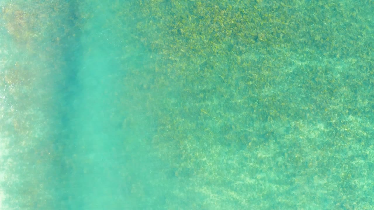 Top-down view of turquoise water over green underwater vegetation at Playa Acapulquito in Los Cabos, with no visible people.