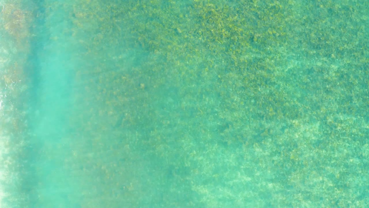 Clear water with pale streak over seabed plants