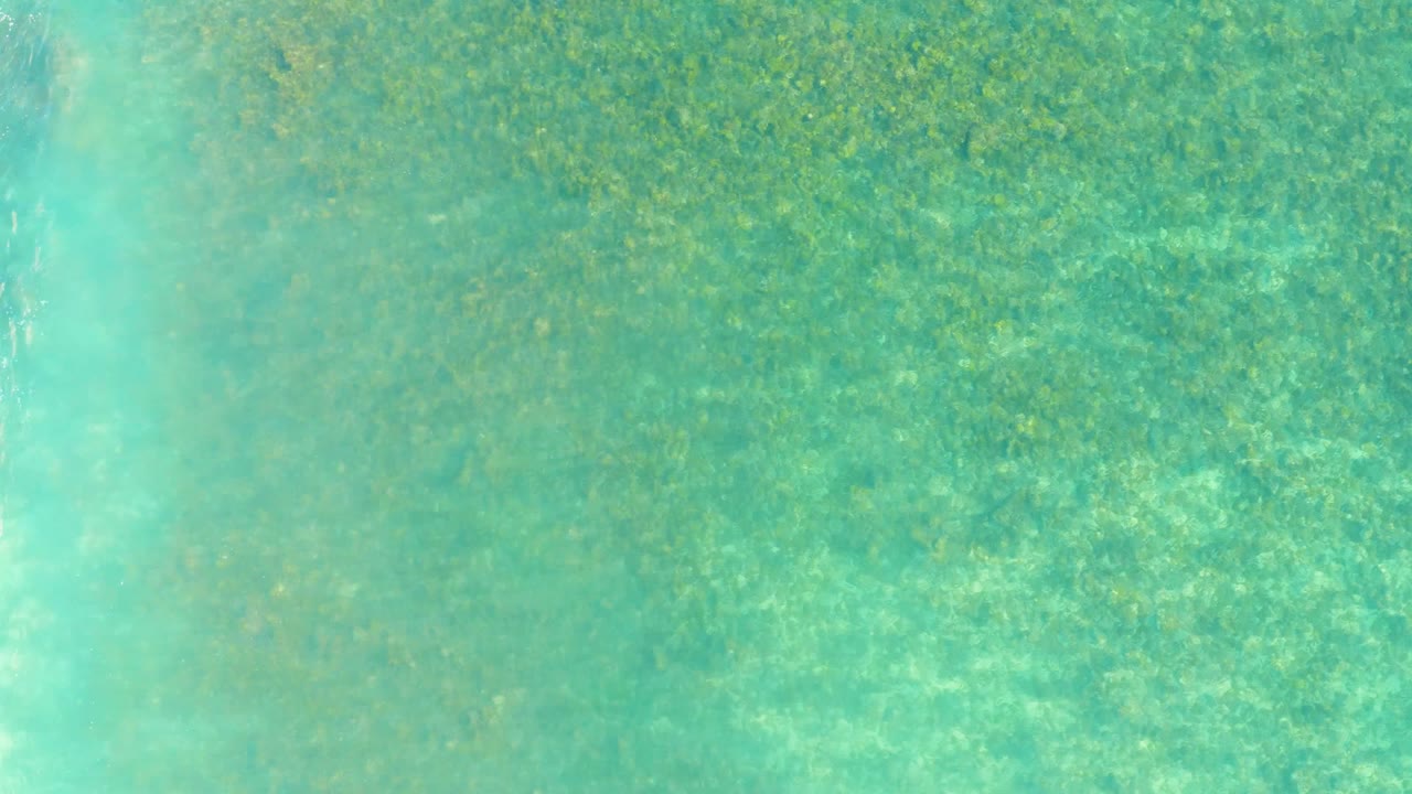 Aerial-looking top-down frame of turquoise water over mottled seabed vegetation at Playa Acapulquito in Los Cabos, with no visible people.